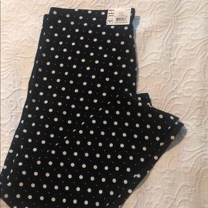 Hue Thin Leggings